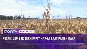 [ID: yrFn0YqDpTQ] Youtube Automatic