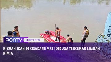 [ID: M8aB0zATgbY] Youtube Automatic