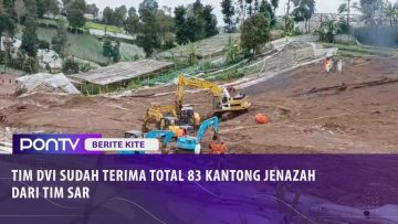 [ID: P-6E9ySWxHU] Youtube Automatic