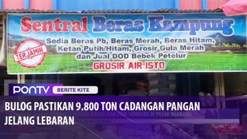 [ID: 3cVs2VRB7nI] Youtube Automatic