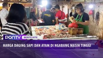 [ID: _Aa2nn2Dqck] Youtube Automatic