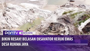 [ID: L5Mb7-143SI] Youtube Automatic