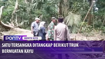 [ID: TzZ2JWw5rjs] Youtube Automatic