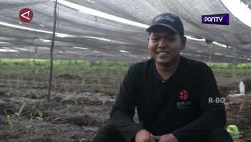 [ID: 2BeX5Uv8C9E] Youtube Automatic
