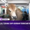 [ID: 6HdoVqvUVHg] Youtube Automatic
