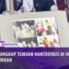 [ID: 8SqAELrpujk] Youtube Automatic
