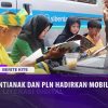 [ID: Lm8UNSUiZfM] Youtube Automatic