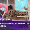 [ID: m9YyQ_j2kd8] Youtube Automatic