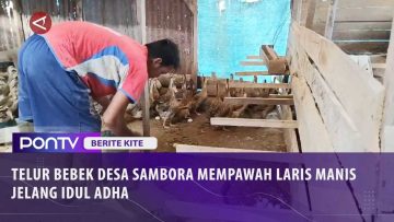 [ID: m9YyQ_j2kd8] Youtube Automatic