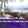 [ID: O4qH086jS5M] Youtube Automatic