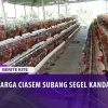 [ID: -UHfPBl-CxE] Youtube Automatic