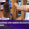 [ID: UvZU3uVVlNw] Youtube Automatic