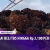 [ID: Bz1oWeS9SoA] Youtube Automatic