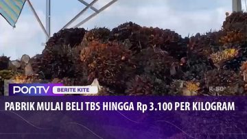 [ID: Bz1oWeS9SoA] Youtube Automatic