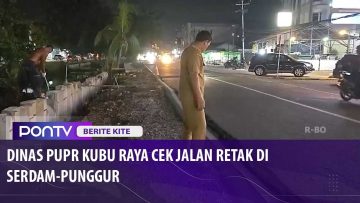 [ID: J25i8alierQ] Youtube Automatic