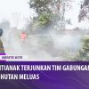 [ID: kEWPv85EL18] Youtube Automatic