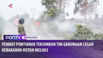 [ID: kEWPv85EL18] Youtube Automatic