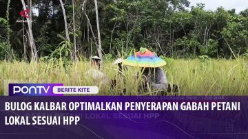 [ID: qVn2C_i_kr0] Youtube Automatic