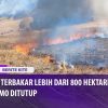 [ID: 7Tm7EVXAEfM] Youtube Automatic