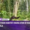 [ID: koi66_UixHw] Youtube Automatic