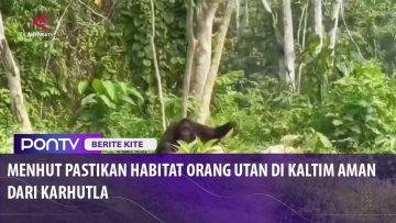 [ID: koi66_UixHw] Youtube Automatic