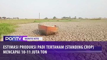 [ID: qpeJN30pVjo] Youtube Automatic