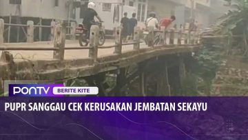 [ID: Kw7ptboH9a8] Youtube Automatic