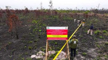 Kemenhut tindak perusahaan pembakar lahan karhutla kalbar 2