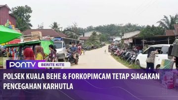 [ID: Gr3FPk_L_68] Youtube Automatic