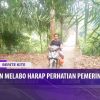 [ID: Gvzgqt6St8s] Youtube Automatic