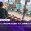 [ID: XYoR0X8AGaU] Youtube Automatic