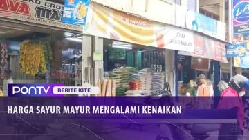 [ID: yfhQF6pqZZ0] Youtube Automatic